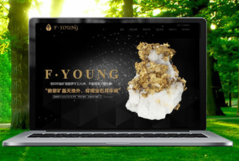 �Ƹ��������ﱦʯ